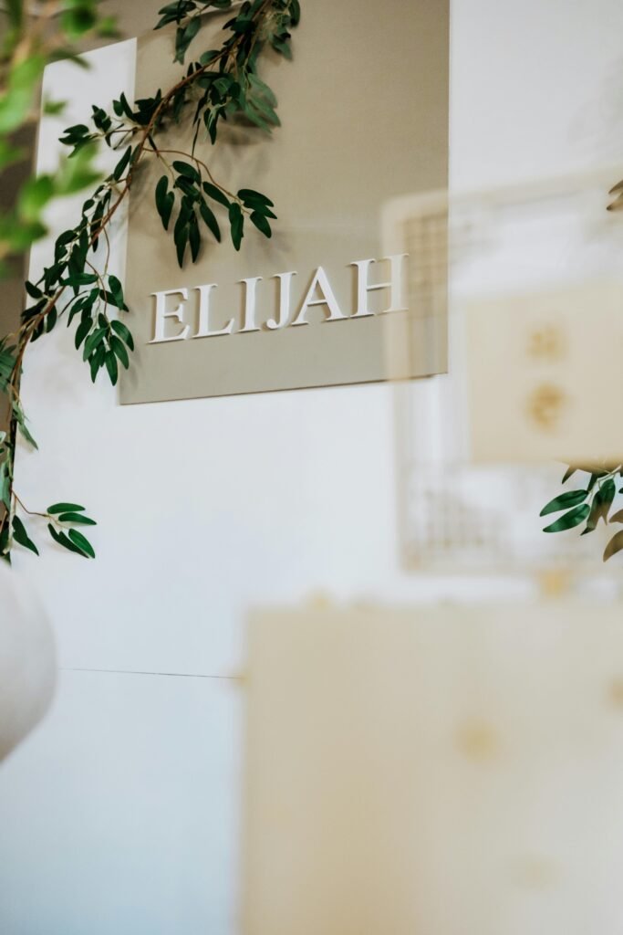 Traits of Elijah in the Bible